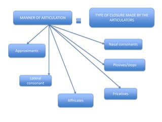 MANNER OF ARTICULATION
TYPE OF CLOSURE MADE BY THE
ARTICULATORS
Nasal consonants
Plosives/stops
Fricatives
Affricates
Lateral
consonant
Approximants
 
