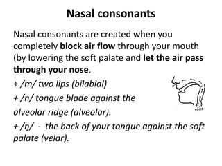 Nasal consonants
Nasal consonants are created when you
completely block air flow through your mouth
(by lowering the soft palate and let the air pass
through your nose.
+ /m/ two lips (bilabial)
+ /n/ tongue blade against the
alveolar ridge (alveolar).
+ /ŋ/ - the back of your tongue against the soft
palate (velar).
 