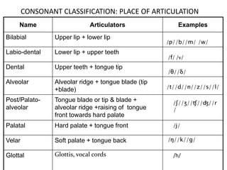 Name Articulators Examples
Bilabial Upper lip + lower lip
Labio-dental Lower lip + upper teeth
Dental Upper teeth + tongue tip
Alveolar Alveolar ridge + tongue blade (tip
+blade)
Post/Palato-
alveolar
Tongue blade or tip & blade +
alveolar ridge +raising of tongue
front towards hard palate
Palatal Hard palate + tongue front
Velar Soft palate + tongue back
Glottal Glottis, vocal cords
CONSONANT CLASSIFICATION: PLACE OF ARTICULATION
/p//b//m/ /w/
/f/ /v/
/θ//δ/
/t//d//n//z//s//l/
/ʃ//ʒ//ʧ//ʤ//r
/
/j/
/ŋ//k//g/
/h/
 