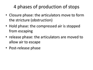 4 phases of production of stops
• Closure phase: the articulators move to form
the stricture (obstruction)
• Hold phase: the compressed air is stopped
from escaping
• release phase: the articulators are moved to
allow air to escape
• Post-release phase
 
