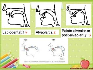 Consonants | PPTX