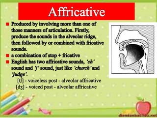 Consonatal Language Consonants | PPTX
