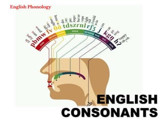 ENGLISH
CONSONANTS
English Phonology
 