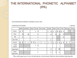 THE INTERNATIONAL PHONETIC ALPHABET
(IPA)
 