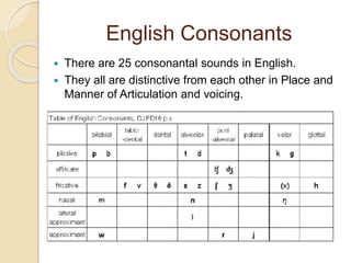 English Consonants
 There are 25 consonantal sounds in English.
 They all are distinctive from each other in Place and
Manner of Articulation and voicing.
 