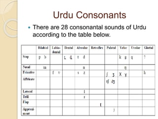 Urdu Consonants
 There are 28 consonantal sounds of Urdu
according to the table below.
 