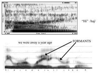 “Hi” /haj/




we were away a year ago   FORMANTS
 