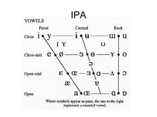 IPA
 
