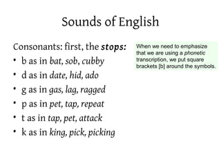 Sounds of English
Consonants: first, the stops:
• b as in bat, sob, cubby
• d as in date, hid, ado
• g as in gas, lag, ragged
• p as in pet, tap, repeat
• t as in tap, pet, attack
• k as in king, pick, picking
When we need to emphasize
that we are using a phonetic
transcription, we put square
brackets [b] around the symbols.
 