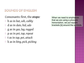 Consonants: first, the stops:
 b as in bat, sob, cubby
 d as in date, hid, ado
 g as in gas, lag, ragged
 p as in pet, tap, repeat
 t as in tap, pet, attack
 k as in king, pick, picking
When we need to emphasize
that we are using a phonetic
transcription, we put square
brackets [b] around the symbols.
 
