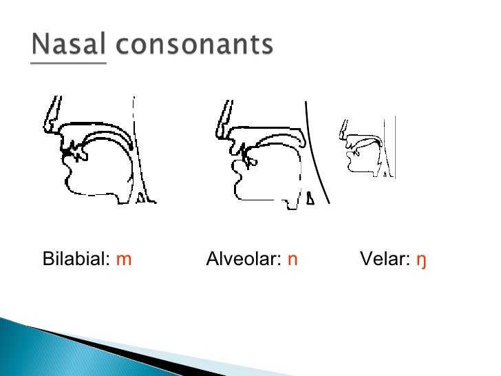 Consonants presentation