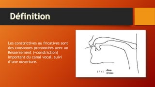 Les constrictives ou fricatives sont
des consonnes prononcées avec un
Resserrement (=constriction)
important du canal vocal, suivi
d’une ouverture.
 