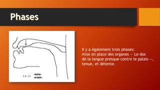 Il y a également trois phases:
mise en place des organes — Le dos
de la langue presque contre le palais —,
tenue, et détente.
 