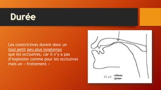 Les constrictives durent donc un
tout petit peu plus longtemps
que les occlusives, car il n’y a pas
d’explosion comme pour les occlusives
mais un « frottement »
 