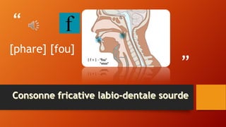 “
”
[phare] [fou]
 