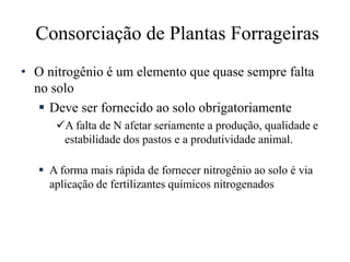 Consorciação de Plantas Forrageiras
• O nitrogênio é um elemento que quase sempre falta
no solo
 Deve ser fornecido ao solo obrigatoriamente
A falta de N afetar seriamente a produção, qualidade e
estabilidade dos pastos e a produtividade animal.
 A forma mais rápida de fornecer nitrogênio ao solo é via
aplicação de fertilizantes químicos nitrogenados
 