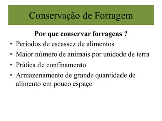 Conservação de Forragem
Por que conservar forragens ?
• Períodos de escassez de alimentos
• Maior número de animais por unidade de terra
• Prática de confinamento
• Armazenamento de grande quantidade de
alimento em pouco espaço
 