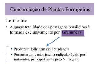 Justificativa
• A quase totalidade das pastagens brasileiras é
formada exclusivamente por Gramíneas
 Produzem folhagem em abundância
 Possuem um vasto sistema radicular ávido por
nutrientes, principalmente pelo Nitrogênio
Consorciação de Plantas Forrageiras
 