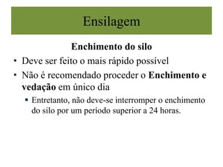 Enchimento do silo
• Deve ser feito o mais rápido possível
• Não é recomendado proceder o Enchimento e
vedação em único dia
 Entretanto, não deve-se interromper o enchimento
do silo por um período superior a 24 horas.
Ensilagem
 