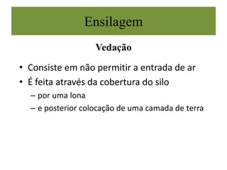 Ensilagem
Vedação
• Consiste em não permitir a entrada de ar
• É feita através da cobertura do silo
– por uma lona
– e posterior colocação de uma camada de terra
 