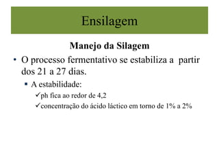 Ensilagem
Manejo da Silagem
• O processo fermentativo se estabiliza a partir
dos 21 a 27 dias.
 A estabilidade:
ph fica ao redor de 4,2
concentração do ácido láctico em torno de 1% a 2%
 