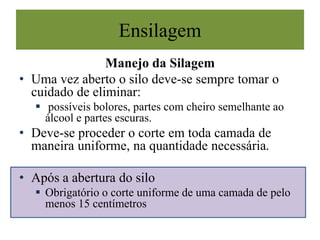 Ensilagem
Manejo da Silagem
• Uma vez aberto o silo deve-se sempre tomar o
cuidado de eliminar:
 possíveis bolores, partes com cheiro semelhante ao
álcool e partes escuras.
• Deve-se proceder o corte em toda camada de
maneira uniforme, na quantidade necessária.
• Após a abertura do silo
 Obrigatório o corte uniforme de uma camada de pelo
menos 15 centímetros
 