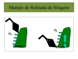 Manejo de Retirada de Silagem
 