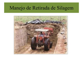 Manejo de Retirada de Silagem
 
