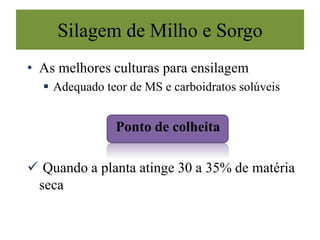 Silagem de Milho e Sorgo
• As melhores culturas para ensilagem
 Adequado teor de MS e carboidratos solúveis
Ponto de colheita
 Quando a planta atinge 30 a 35% de matéria
seca
 