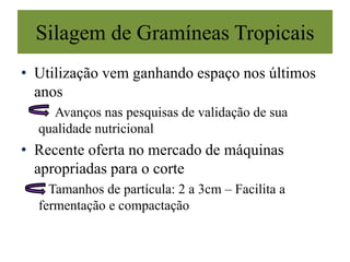 Silagem de Gramíneas Tropicais
• Utilização vem ganhando espaço nos últimos
anos
Avanços nas pesquisas de validação de sua
qualidade nutricional
• Recente oferta no mercado de máquinas
apropriadas para o corte
Tamanhos de partícula: 2 a 3cm – Facilita a
fermentação e compactação
 