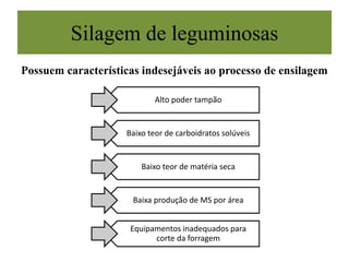 Silagem de leguminosas
Possuem características indesejáveis ao processo de ensilagem
Alto poder tampão
Baixo teor de carboidratos solúveis
Baixo teor de matéria seca
Baixa produção de MS por área
Equipamentos inadequados para
corte da forragem
 