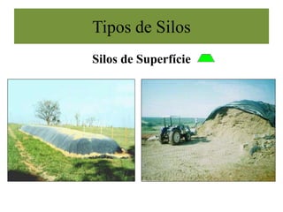 Silos de Superfície
Tipos de Silos
 