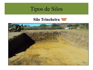 Silo Trincheira
Tipos de Silos
 