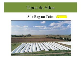 Silo Bag ou Tubo
Tipos de Silos
 