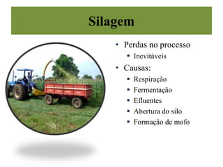 Silagem
• Perdas no processo
 Inevitáveis
• Causas:
 Respiração
 Fermentação
 Efluentes
 Abertura do silo
 Formação de mofo
 