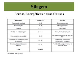 Silagem
Perdas Energéticas e suas Causas
 
