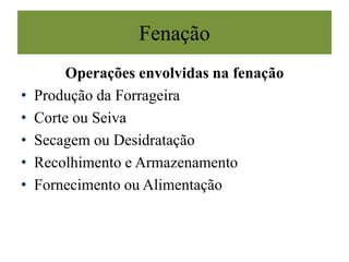 Fenação
Operações envolvidas na fenação
• Produção da Forrageira
• Corte ou Seiva
• Secagem ou Desidratação
• Recolhimento e Armazenamento
• Fornecimento ou Alimentação
 