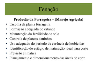 Fenação
Produção da Forrageira – (Manejo Agrícola)
• Escolha da planta forrageira
• Formação adequada do estande
• Manutenção da fertilidade do solo
• Controle de plantas daninhas
• Uso adequado do período de carência de herbicidas
• Identificação do estágio de maturação ideal para corte
• Previsão climática
• Planejamento e dimensionamento das áreas de corte
 