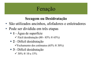 Fenação
Secagem ou Desidratação
• São utilizados ancinhos, afofadores e enleiradores
• Pode ser dividida em três etapas
 1 - Água de superfície
 Fácil desidratação (80 - 85% ® 65%)
 2 - Difícil desidratação
Fechamento dos estômatos (65% ® 30%)
 3 - Difícil desidratação
 30% ® 10 a 15%
 