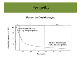 Fenação
 