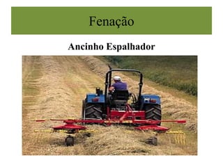 Fenação
Ancinho Espalhador
 
