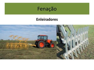 Fenação
Enleiradores
 