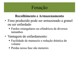 Fenação
Recolhimento e Armazenamento
• Feno produzido pode ser armazenado a granel
ou ser enfardado
 Fardos retangulares ou cilíndricos de diversos
tamanhos
• Vantagem do enfardamento:
 Facilidade de manuseio e redução drástica do
volume
 Perdas nessa fase são menores
 