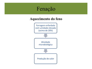 Fenação
Aquecimento do feno
Forragem enfardada
com umidade elevada
(acima de 20%)
Atividade
microbiológica
Produção de calor
 