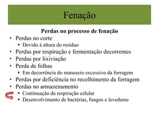 Fenação
Perdas no processo de fenação
• Perdas no corte
 Devido à altura do resíduo
• Perdas por respiração e fermentação decorrentes
• Perdas por lixiviação
• Perda de folhas
 Em decorrência do manuseio excessivo da forragem
• Perdas por deficiência no recolhimento da forragem
• Perdas no armazenamento
 Continuação da respiração celular
 Desenvolvimento de bactérias, fungos e leveduras
 