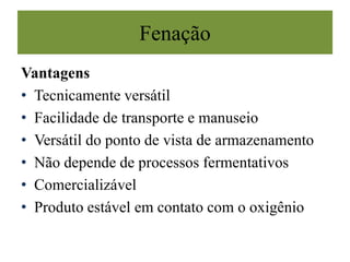 Vantagens
• Tecnicamente versátil
• Facilidade de transporte e manuseio
• Versátil do ponto de vista de armazenamento
• Não depende de processos fermentativos
• Comercializável
• Produto estável em contato com o oxigênio
Fenação
 