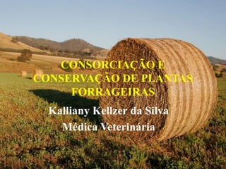 CONSORCIAÇÃO E
CONSERVAÇÃO DE PLANTAS
FORRAGEIRAS
Kalliany Kellzer da Silva
Médica Veterinária
 