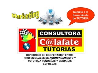 CONSORCIO DE COOPERACION ENTRE PROFESIONALES DE ACOMPAÑAMIENTO Y TUTORIA A PEQUEÑAS Y MEDIANAS EMPRESAS Súmate a la herramienta de TUTORIA Marketing 