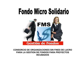 CONSORCIO DE ORGANIZACIONES SIN FINES DE LUCRO PARA LA GESTION DE FONDOS PARA PROYECTOS INCUBADOS Fondo Micro Solidario 