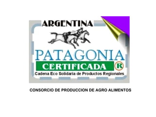 CONSORCIO DE PRODUCCION DE AGRO ALIMENTOS 